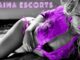 sexy Naraina Escorts